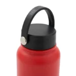 1000HydraGo0227sinetiqueta-1729441994