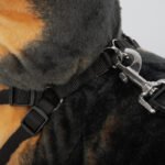 arne de perro