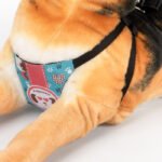 arne de perro
