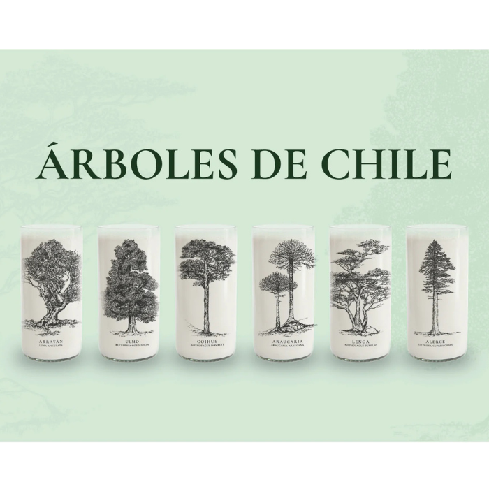 Diseño sin título