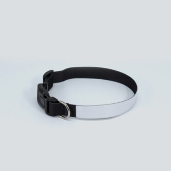Collar de mascotas Personalizado