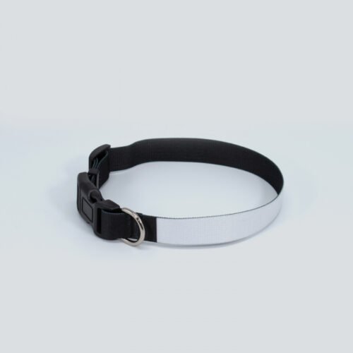 Collar de mascotas Personalizado