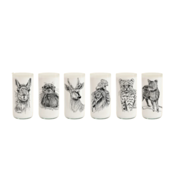 Juego de 6 vasos -  Fauna Chilena