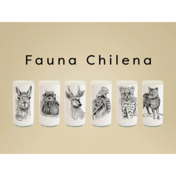 Juego de 6 vasos -  Fauna Chilena 500ml