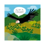 puzzle-condor-100-piezas-01
